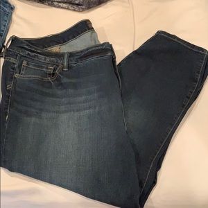 New torrid jeans